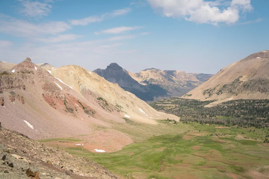 Portugal's Chega Party Passes New Nationality Law Amid Controversy — Economy Business