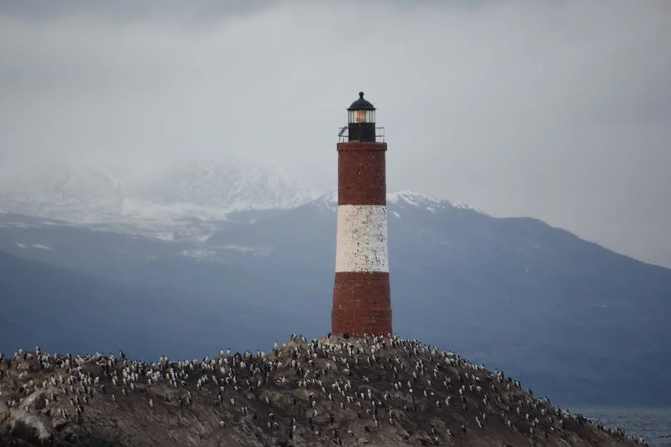 Portugal's Nunes Advocates for State Tech Demands on Defense Firms — Economy Business