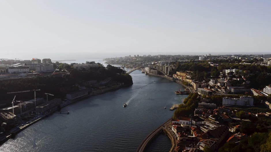 Portugal's Parliament Elects New RTP Council Members Amid Political Shifts — Environment Nature