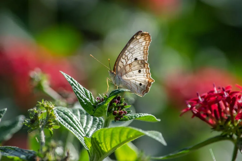 Proton Beam Therapy Offers New Hope for Mesothelioma Patients - Global Health Sector Takes Note — Health Medicine