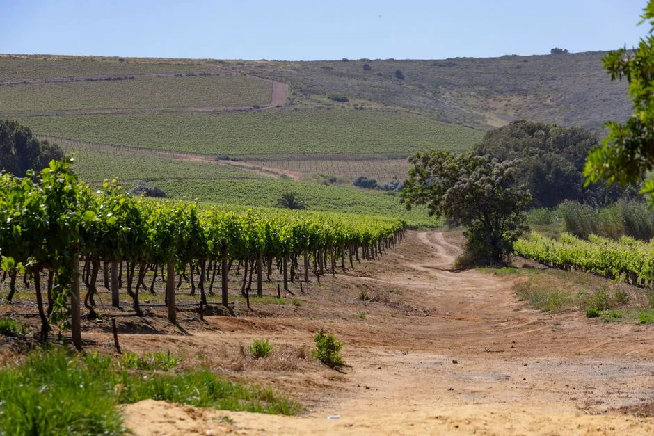 Ramaphosa Slams Farm Cash Report — Monday Hearing Looms — Environment Nature