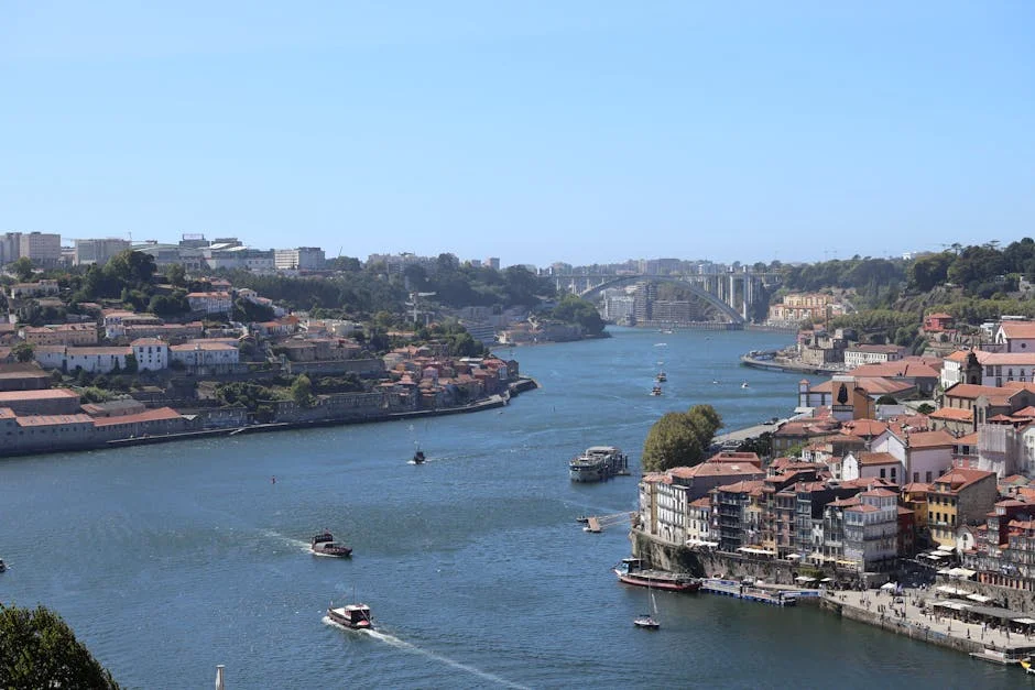 Rodrigo Mora Claims Historic Porto Title — Why the Teenager Matters — Education