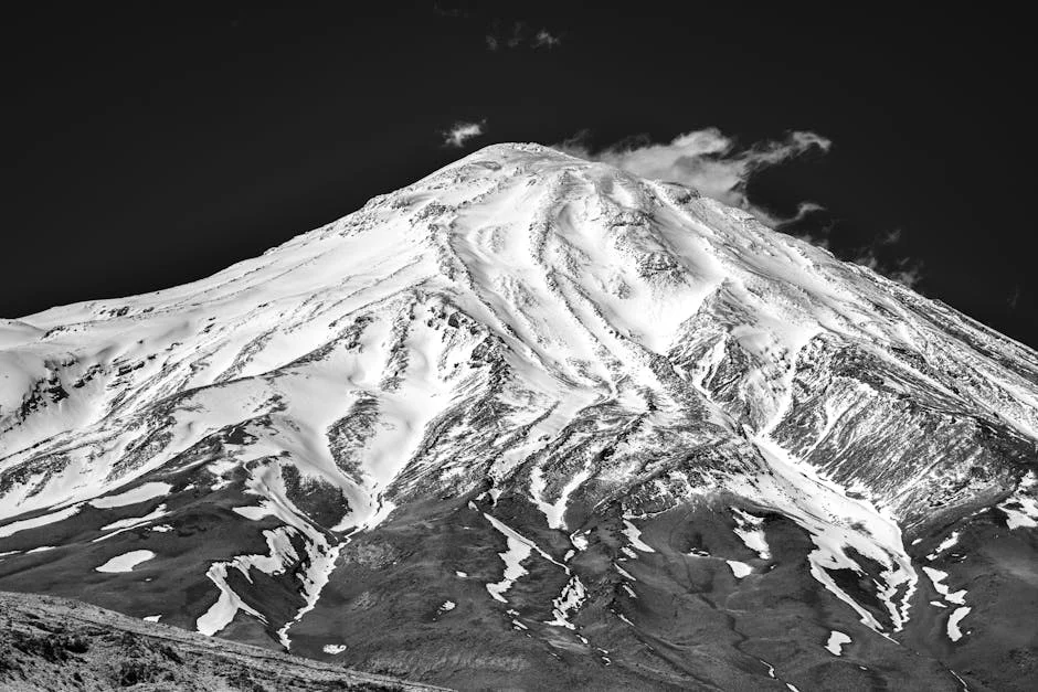 Salvador Sobral Launches New Album in Brazil Amid Rising Music Scene — Economy Business