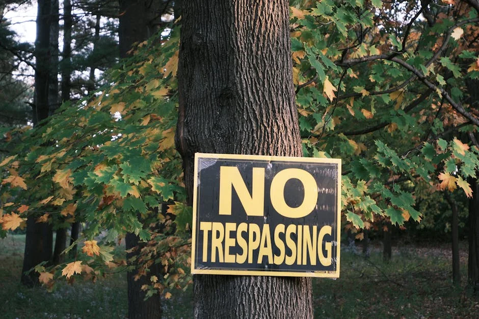 Sergio Ramos Turns 40 — Sevilla El Makes Bold Move