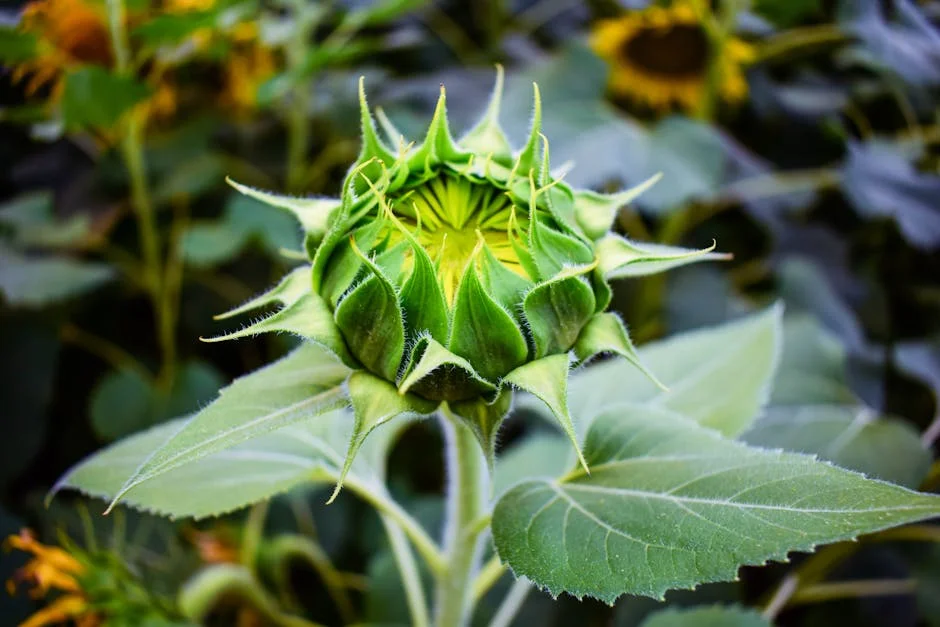 Shipping Giants Refund Extra Charges to Exporters as West Asia Crisis Eases - The Full Story — Economy Business