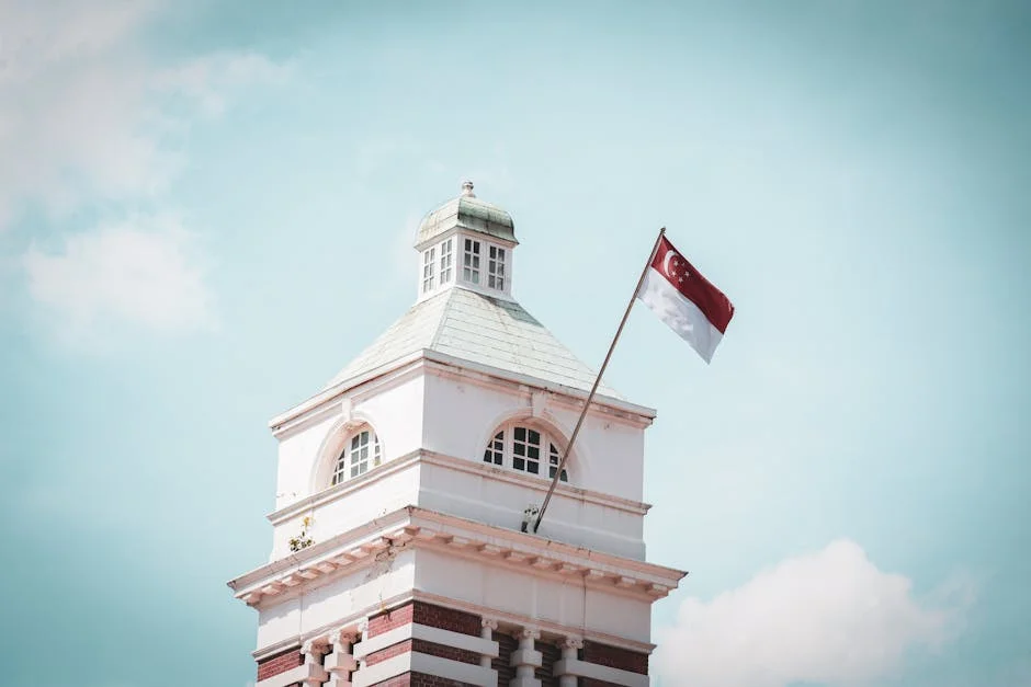 Singapore Blocks 6 Websites Over Hostile Information Threats — Economy Business