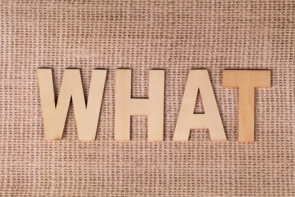 South Africa Court Rejects Zuma and Mbeki Bid to Remove Khampepe — Economy Business