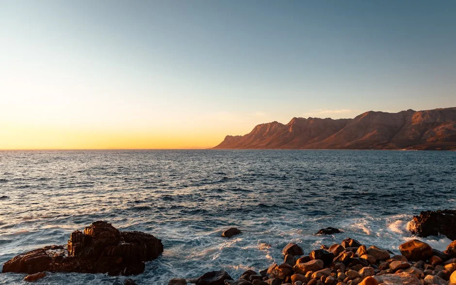 South Africa Launches New Initiative to Tackle Unemployment Crisis Today — Culture Arts