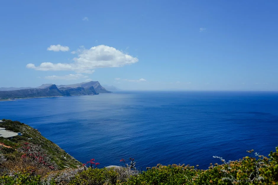 South Africa Sees Growing Exodus of Springboks Amid Economic Strain — Economy Business