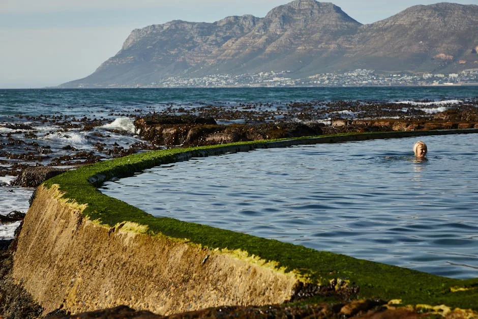 South Africa's Blitzboks Slam Through to World Series Title in New York - Pool Impact Explained — Economy Business