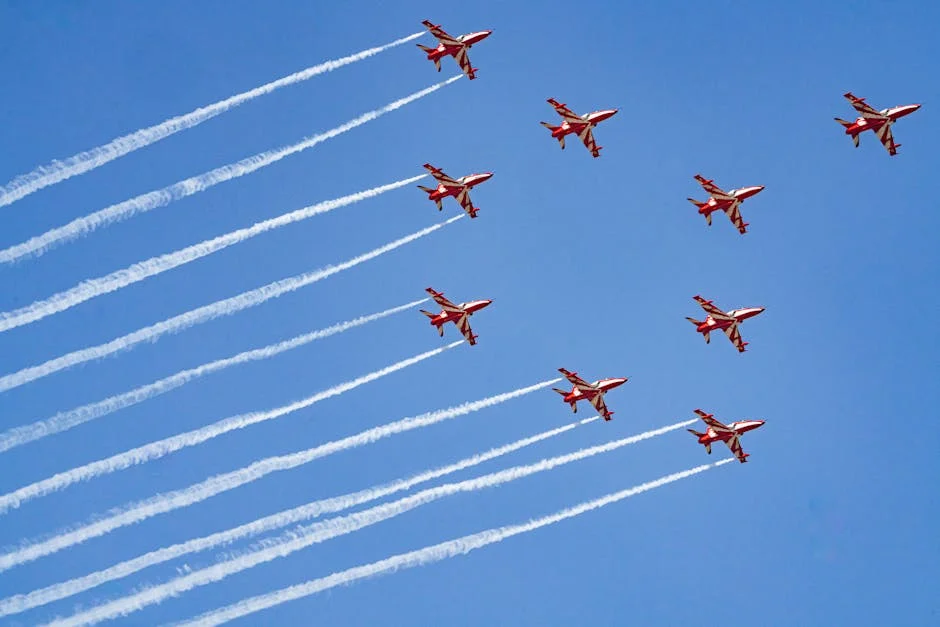 Sylvester Stallone's New Show Gets Major Release Date Change — Economy Business