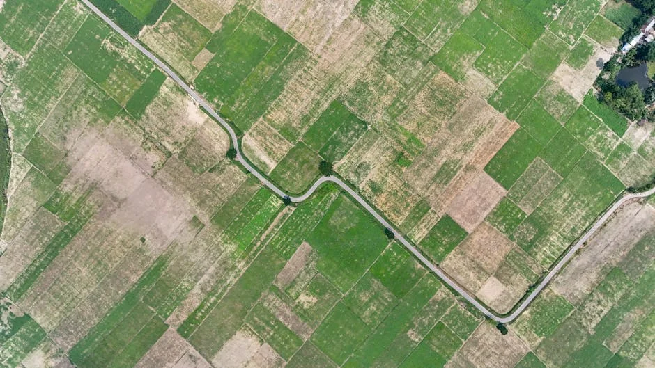 Telangana HC Orders Government to Explain Kaleshwaram Payments — Economy Business