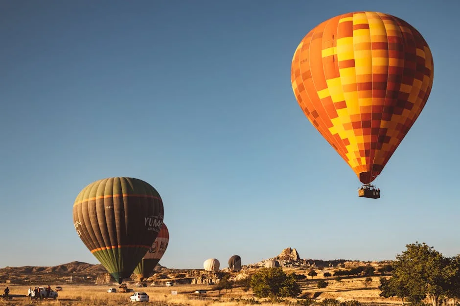 The Hawks Arrest Three in R2.5m Abalone Trafficking Operation — Economy Business