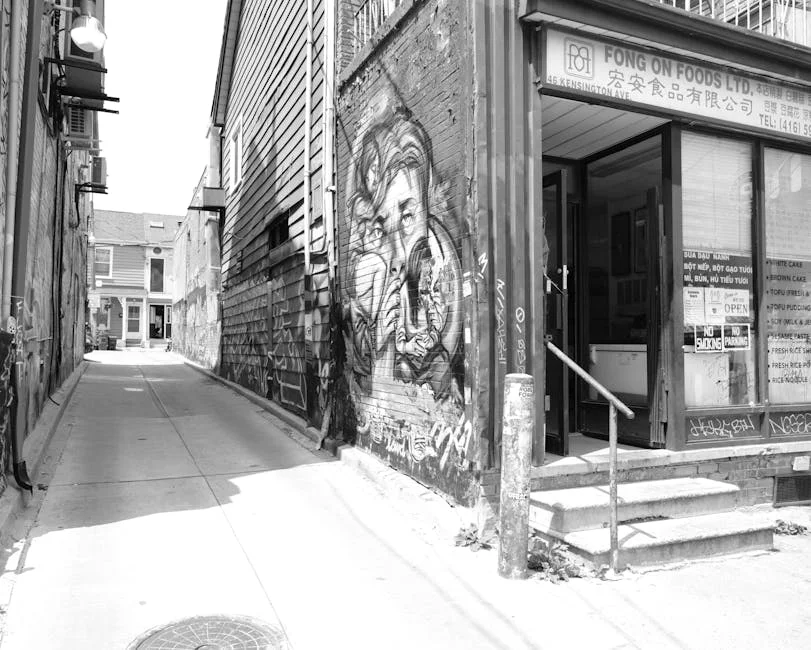 Tin Pan Alley Enters Gold Challenge — Greyville Braces for Music Showdown — Education