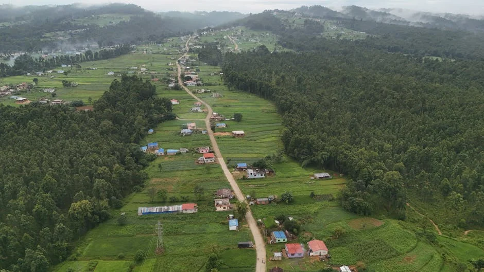 TPLF Restores Leadership — Tensions Surge in Ethiopia’s Tigray — Politics Governance