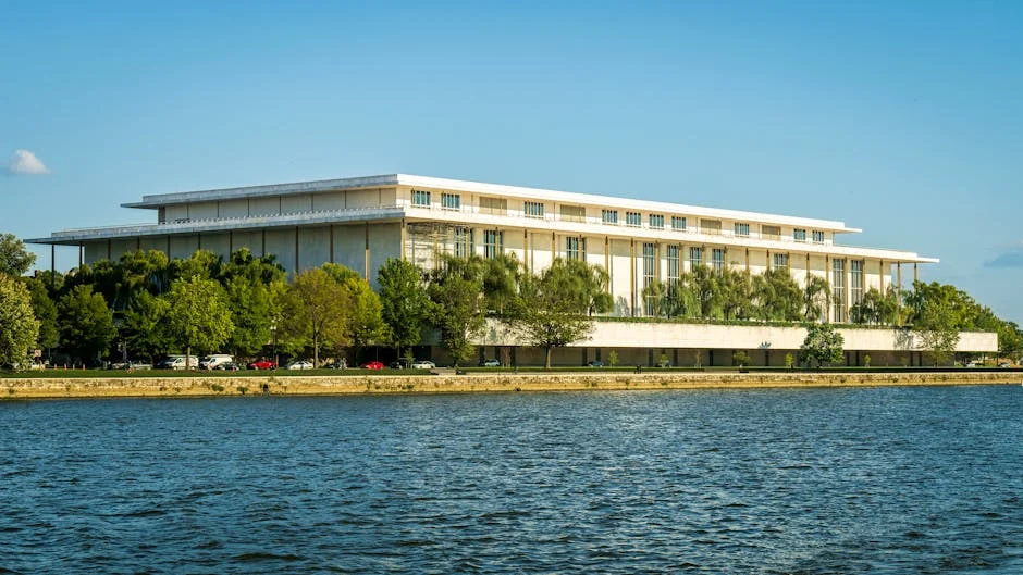 UFC White House Show Tickets Hit $1.5m Price Tag — Environment Nature