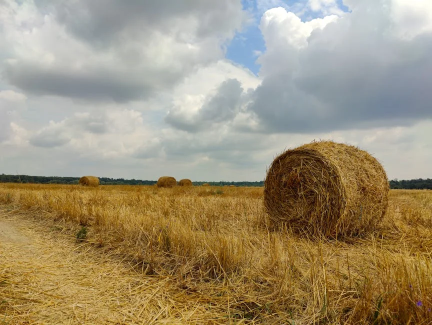 UK's Hay Fever Season Extends — Millions Affected by Lingering Symptoms — Economy Business