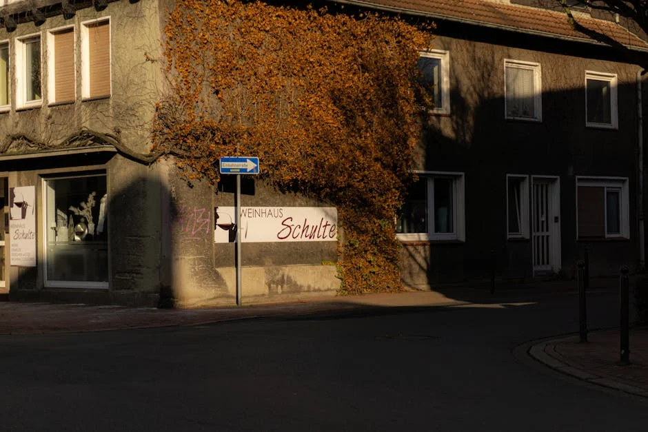 US Deports 8 Africans to Uganda Amid Legal Disputes — Economy Business