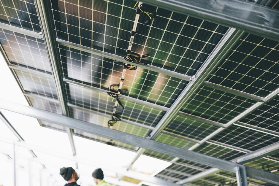 US Homeowners Rush Solar Panels as Utility Bills Surge — Agriculture Food