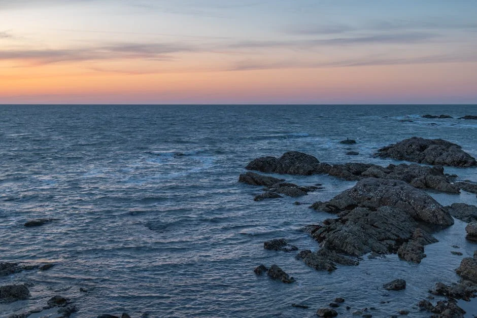 VAR Decision Sparks Debate as Mallorca Referee Questions Espanyol Goal — Economy Business