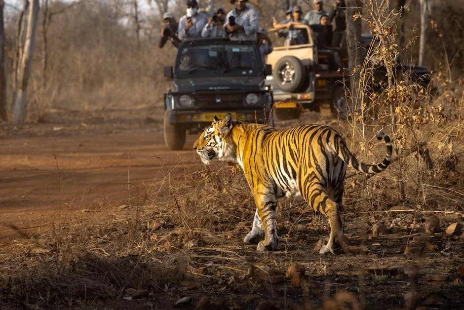 Xi's Corruption Hunt Continues: What Does It Mean for Global Markets? — Economy Business