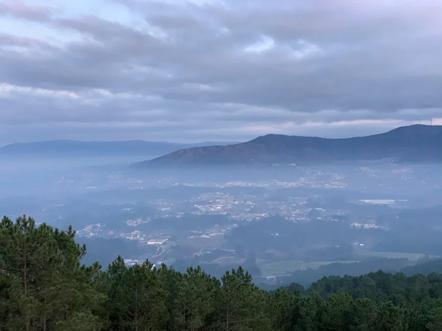 Understanding Minho Diário — Advertorial